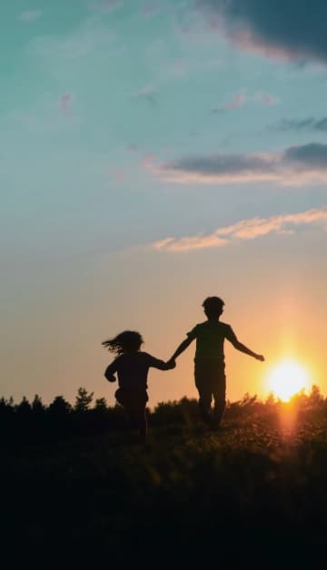 Main Section 1 Image 1