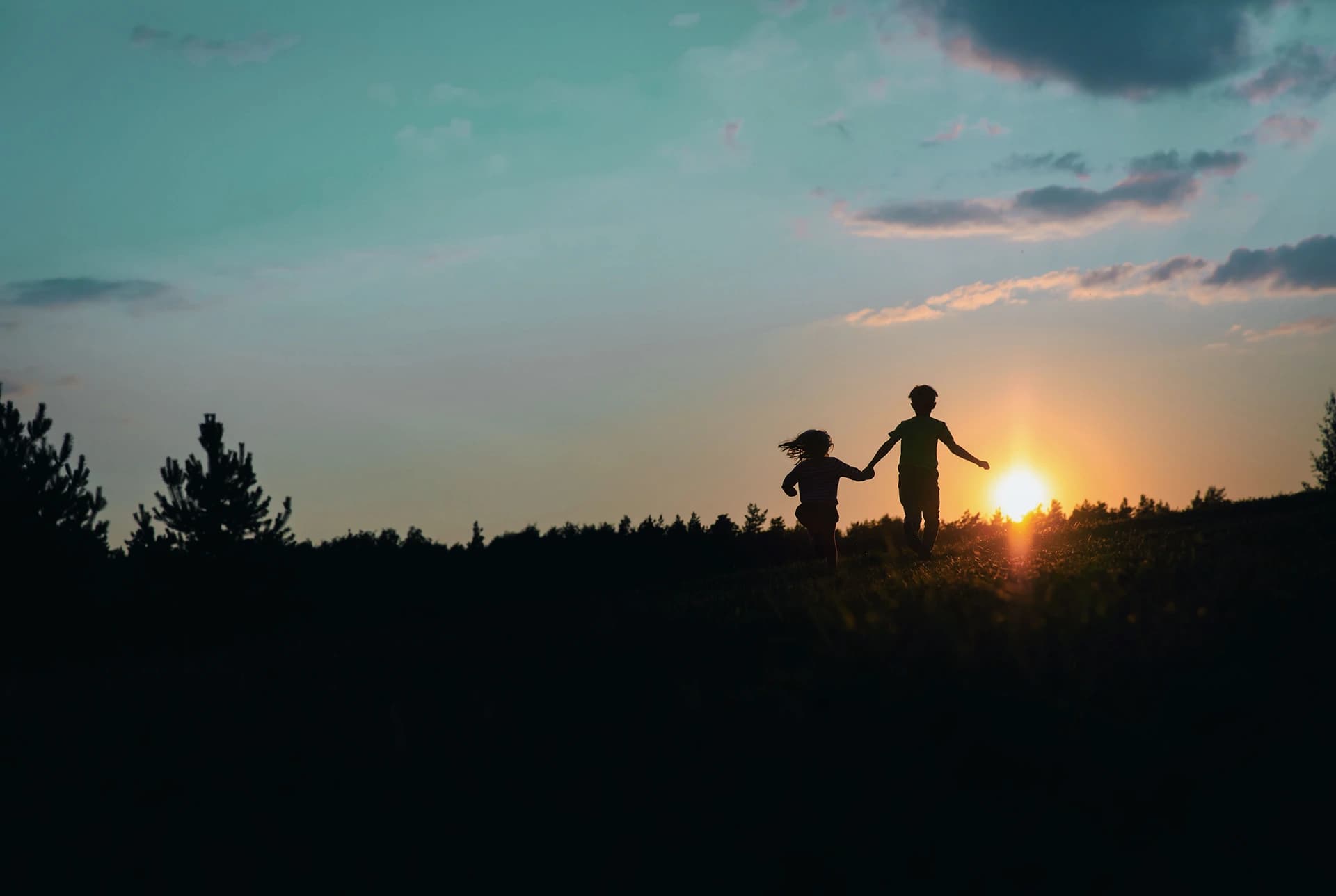 Main Section 1 Image 1